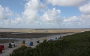 amrum_05.jpg