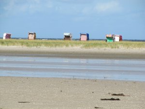 amrum_07.jpg