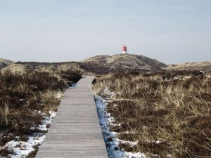 amrum_10.jpg