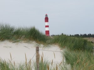 amrum_12.jpg