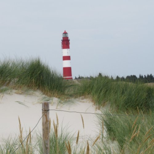 Amrum 12