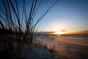 langeoog-09.jpg