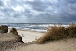 sylt_02.jpg